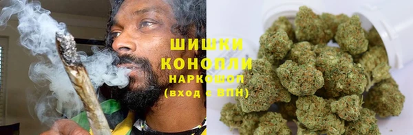 сатива Абдулино