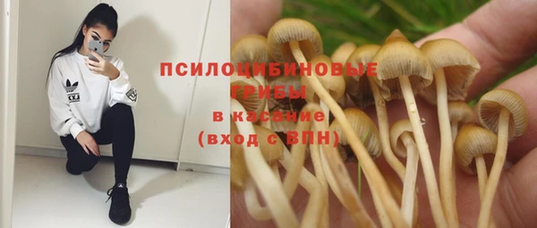 сатива Абдулино