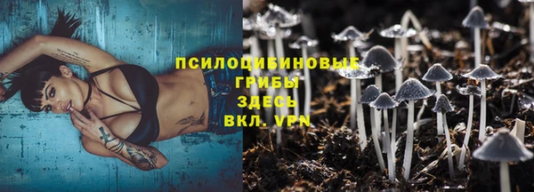 сатива Абдулино