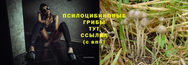 сатива Абдулино