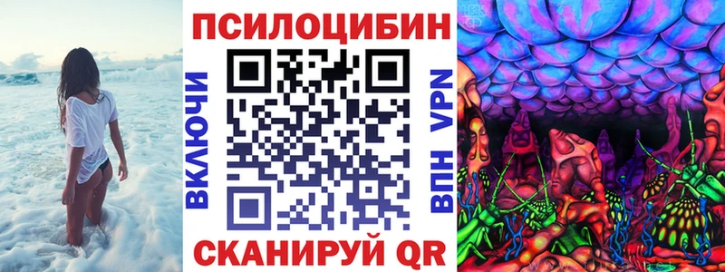 купить  сайты  Химки  kraken сайт  Галлюциногенные грибы GOLDEN TEACHER 